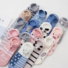 5 pairs Cute Pet Socks