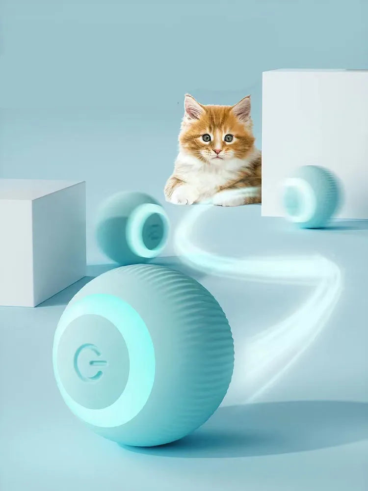 Electric Cat Ball