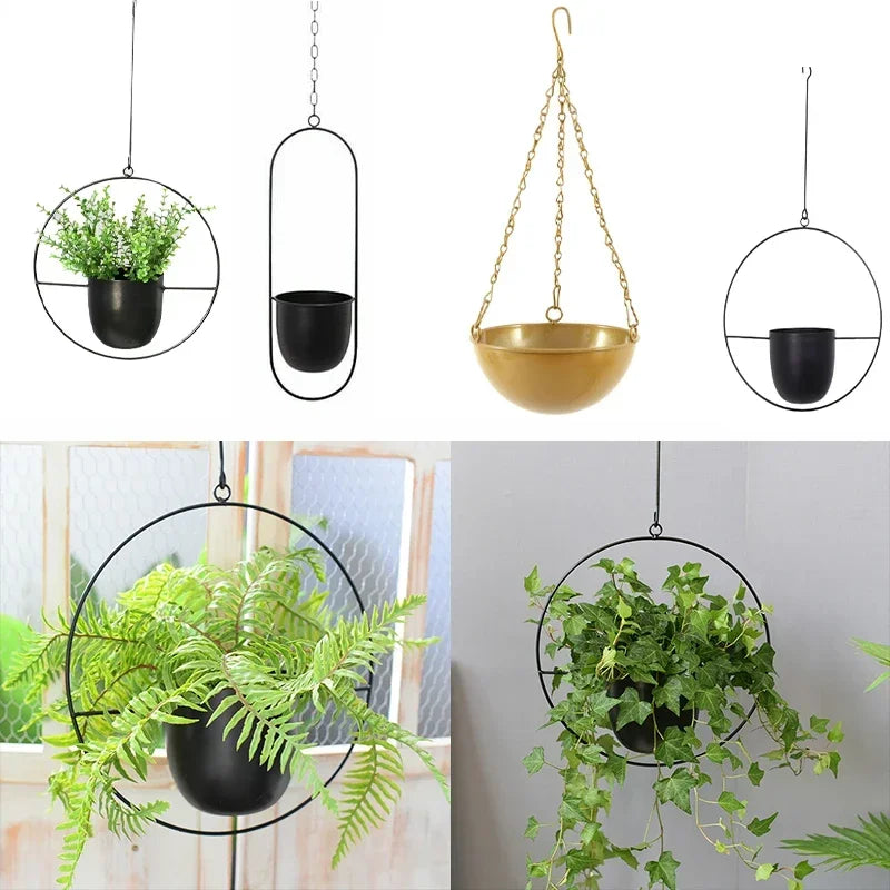 Hanging Planter