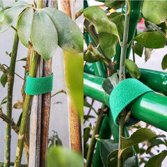 Garden Plant Ties