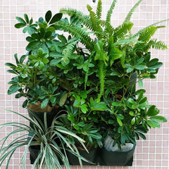 Wall Hanging Pockets Planting Pot Flower Pot Waterproof Grow Bag Garden Planter Nursery Pots Suculentas Plant Pot Planters