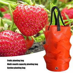 Planting Bag Hanging