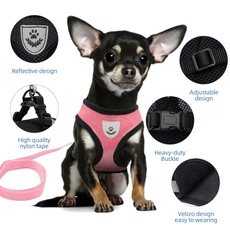 Dog Harness - S