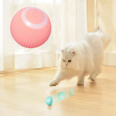 Electric Cat Ball