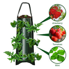 Planting Bag Hanging