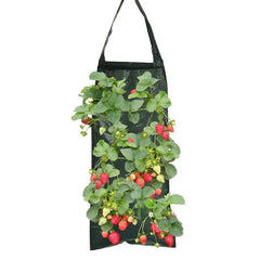 Planting Bag Hanging