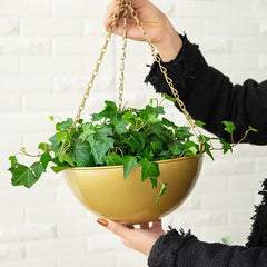 Hanging Planter