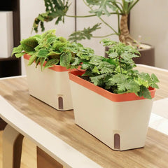 Self Watering Plant Pot Rectangle Modern Double Layer Indoor Windowsill Desktop Flower Herb Succulent Planter Box Home Gardening