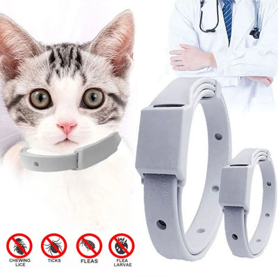 Anti-Flea Cat Collar